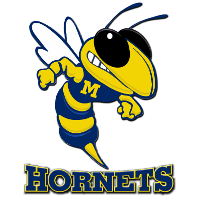 Hornets Logo.jpg